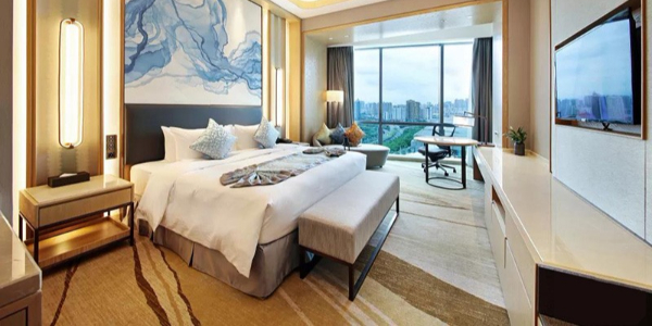 南宁会展豪生大酒店家具九游(中国)